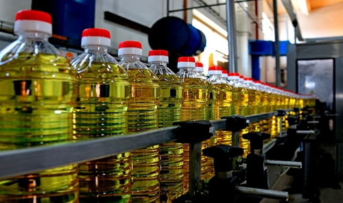 2021年11月食用油機(jī)械設(shè)備行業(yè)熱點(diǎn)聚焦 創(chuàng)新驅(qū)動與市場新機(jī)遇