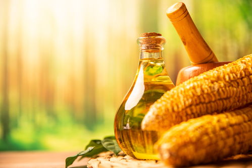 廚房里的視覺(jué)藝術(shù) 玻璃壺與食用油的攝影之美